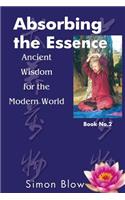 Absorbing the Essence