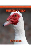 Muscovy Duck! Learn about Muscovy Duck and Enjoy Colorful Pictures