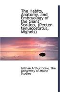 The Habits, Anatomy, and Embryology of the Giant Scallop, (Pecten Tenuicostatus, Mighels)