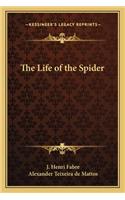 The Life of the Spider