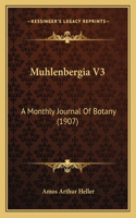 Muhlenbergia V3