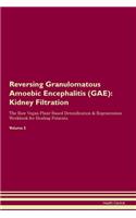 Reversing Granulomatous Amoebic Encephalitis (GAE): Kidney Filtration The Raw Vegan Plant-Based Detoxification & Regeneration Workbook for Healing Patients. Volume 5