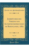 JahrbÃ¼cher Des Vereins Von Alterthumsfreunden Im Rheinlande, 1882, Vol. 73 (Classic Reprint)