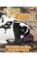 The Truth about Rabbits: What Rabbits Do When You're Not Looking(Pets Undercover!)