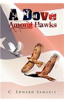 Dove Among Hawks