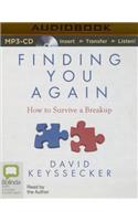 Finding You Again: How to Survive a Breakup