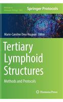 Tertiary Lymphoid Structures