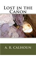 Lost in the Canon