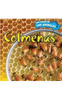 Colmenas (Inside Beehives): (Casas de los Animales (Inside Animal Homes))