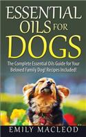 Essential Oils for Dogs