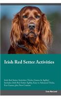 Irish Red Setter Activities Irish Red Setter Activities (Tricks, Games & Agility) Includes: Irish Red Setter Agility, Easy to Advanced Tricks, Fun Games, plus New Content