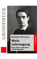 Mein Lebensgang (Großdruck): Eine nicht vollendete Autobiographie