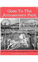 Goes To The Amusement Park