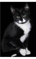 So Cute Black and White Kitten Journal