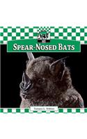 Spear-Nosed Bats