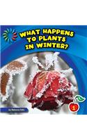 What Happens to Plants in Winter?