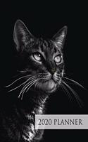 Cat 2020 Week to View Planner: 2020 Planner Weekly and Monthly - Jan 1 to Dec 31(60 Elitic 2020 Planners)