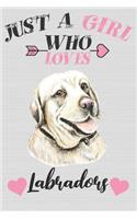 Just A Girl Who Loves Labradors