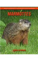 Marmottes