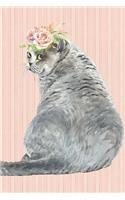 The Cat Lover Collection