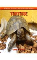Tortoise