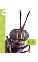 Flies