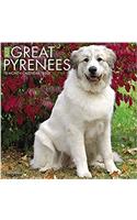 Just Great Pyrenees 2018 Calendar
