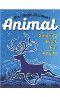 Best Magic Christmas Animal Coloring Book for Adults