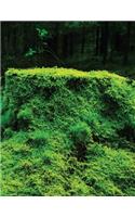 Moss Carpet Sketchbook: Blank Art Sketch Pad Journal Notebook(38 Go Green 150 Sketch)