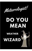 Meteorologist! Did You Mean Weather Wizard: Blank Line Occupation Journal to Show Appreciation to That Colleague or Friend