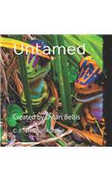 Untamed: Created by Dylan Bellis