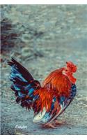 Rooster: Pocket Notebook for Pets, Critters and All Kinds of Animal Lovers