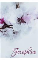 Josephine: Un livre pour Josephine. Journal intime en motifs de fleurs de cerisier, personnalisé.