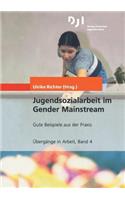 Jugendsozialarbeit Im Gender Mainstream: Gute Beispiele Aus Der Praxis