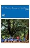 Millennium Development Goals report 2014