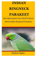 Indian Ringneck Parakeet