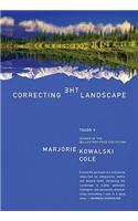 Correcting the Landscape