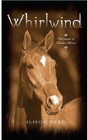 Whirlwind