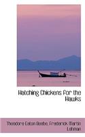 Hatching Chickens for the Hawks