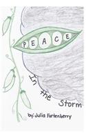 Peace in the Storm