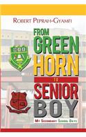 From Greenhorn to Senior Boy My Secondary School Days