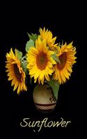 Sunflower: A Notebook to Write in for Everyone. Spacious 6 x 9. Used for an Everyday writer for Men, Women, Children and Teens with a Pretty Black Background w