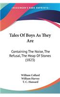 Tales Of Boys As They Are