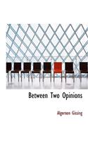 Between Two Opinions