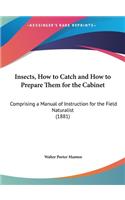 Insects, How to Catch and How to Prepare Them for the Cabinet