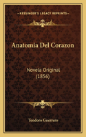 Anatomia Del Corazon
