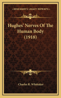 Hughes' Nerves Of The Human Body (1918)