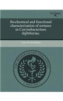 Mechanisms of Intestinal Inflammation-Associated Systemic Genotoxicity