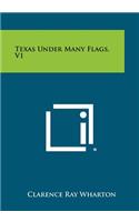 Texas Under Many Flags, V1