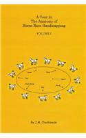 Year in the Anatomy of Horse Race Handicapping Volume I